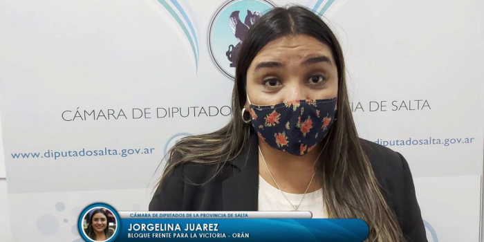 Violencia de Género: Juárez dijo que hay una necesidad urgente en Salta