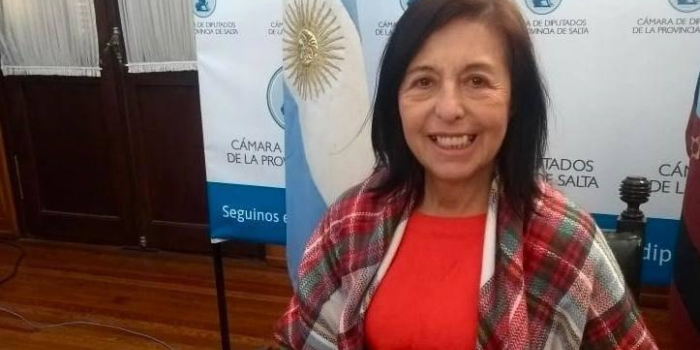 Debate por la Coparticipación: Nora Giménez afirma que el sistema no es federal