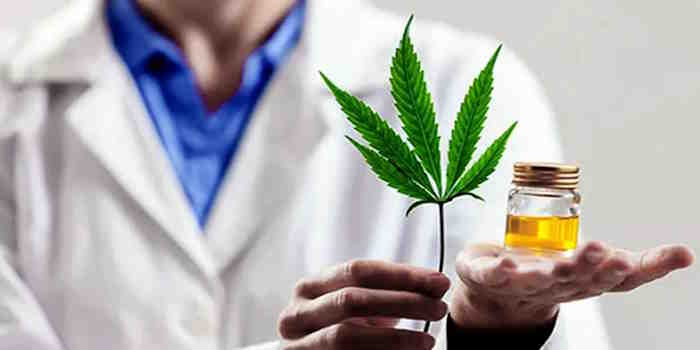 Se reglamentó la Ley del cannabis medicinal