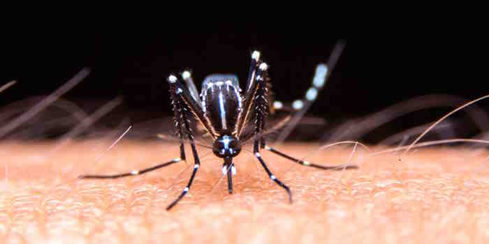 Dos personas en terapia intensiva por Dengue en Güemes
