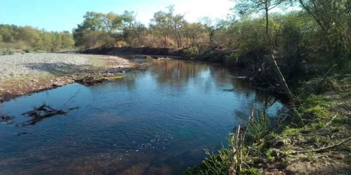 Proyectan la limpieza y el saneamiento del río Rosario