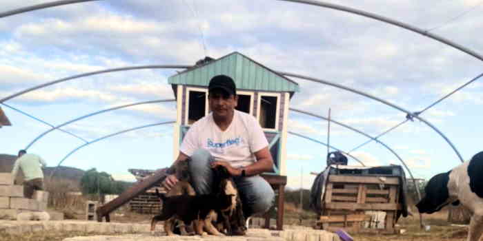 Un hogar para perros callejeros comenzó a funcionar en La Merced