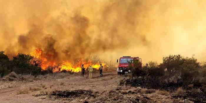 Salta y otras 12 provincias reportan graves incendios forestales