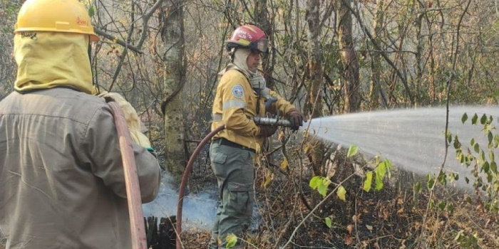 Continúan los trabajos para sofocar incendios forestales en el Norte 