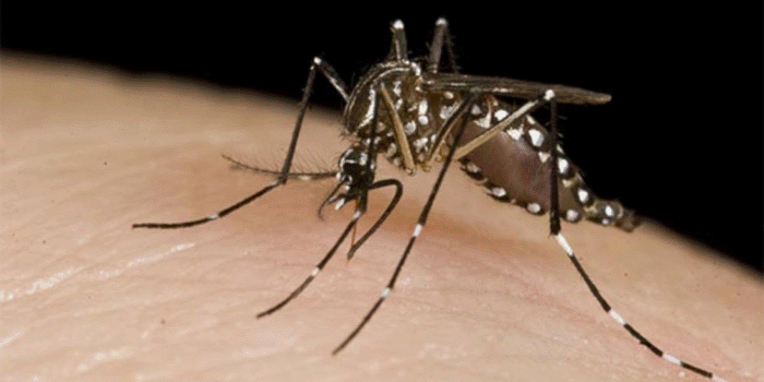 El Dengue y el Covid no dan respiro y continúan en alza en Salta