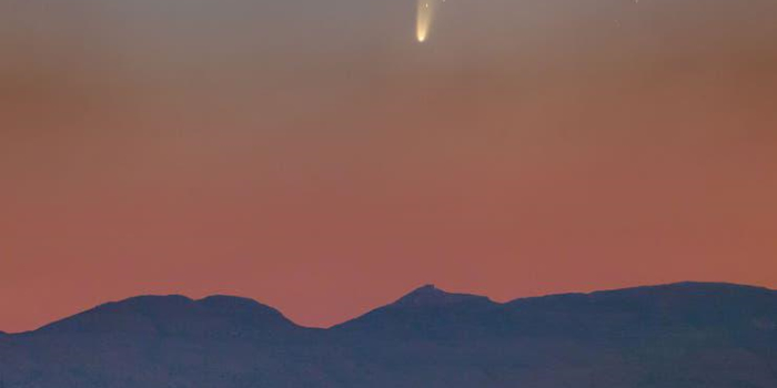 El cometa Neowise está cada vez más cerca de la Tierra