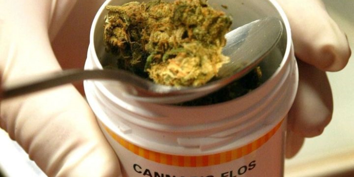 Cannabis medicinal: repercusiones tras la vuelta a comisión en Salta