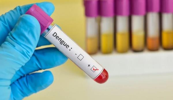 Confirmaron los tres primeros casos de dengue del 2019 de Salta