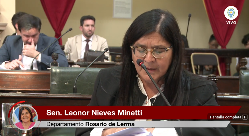 Senadora Minetti